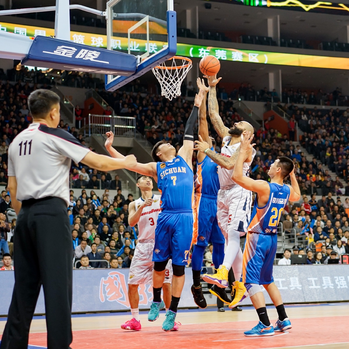 赛被写进冷 赛被写进冷